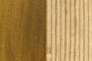 Comparação entre as texturas de carpete e sisal