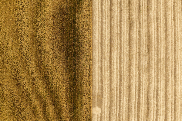 Comparação entre as texturas de carpete e sisal