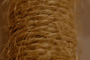 Detalhe das fibras de uma corda de sisal usada em estruturas para gatos.
