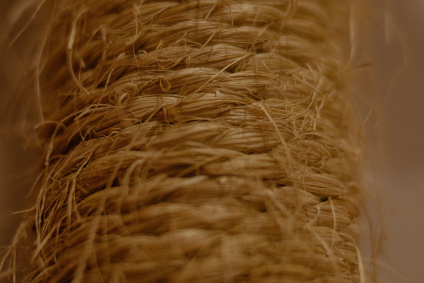Detalhe das fibras de uma corda de sisal usada em estruturas para gatos.