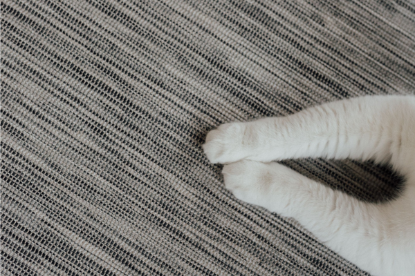 Patas de um gato sobre uma superfície de tecido texturizado.
