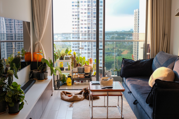 Sala de apartamento com varanda, móveis e áreas que podem ser adaptadas para gatos
