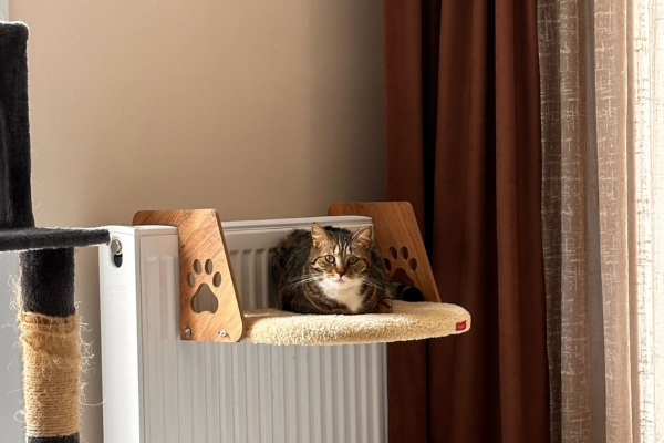 Gato descansando em um móvel próximo a um arranhador e a uma janela em apartamento pequeno
