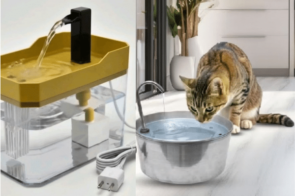 Fonte de água para gatos