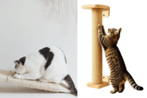 arranhadores para gatos
